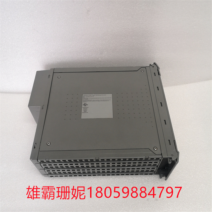 ICS TRIPLEX T8110B