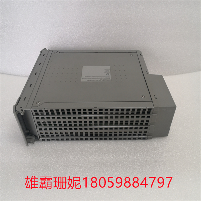 ICS TRIPLEX T8110B