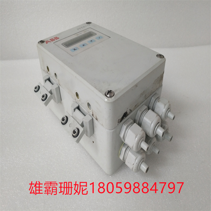 ABB PFEA112-65 3BSE050091R65 (2).jpg