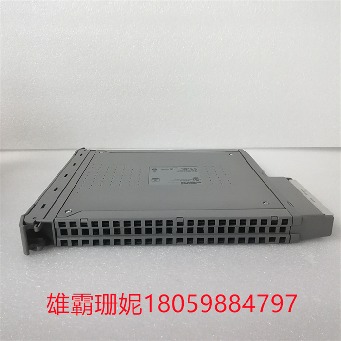 ICS TRIPLEX T8461C