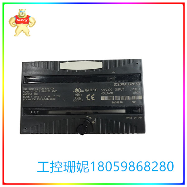 IC200ALG263
