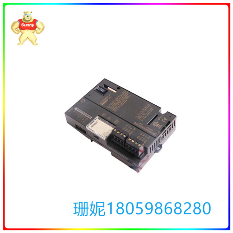 IC200ALG328
