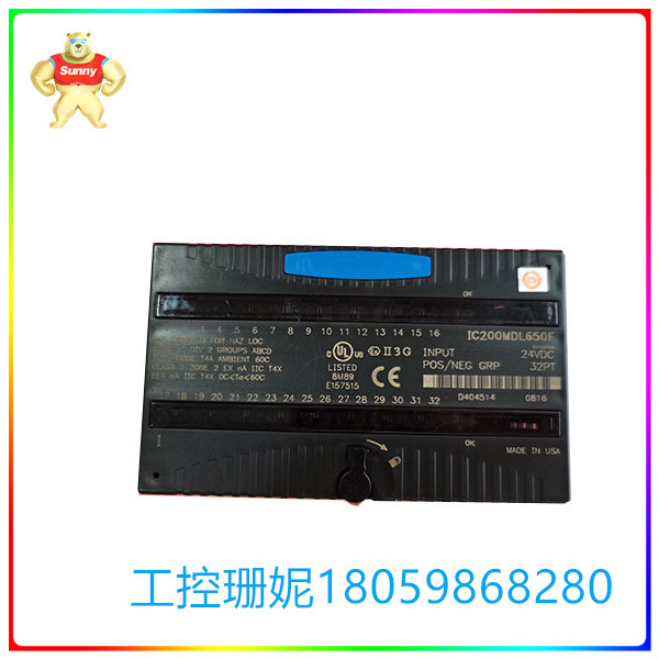 IC200ALG264E
