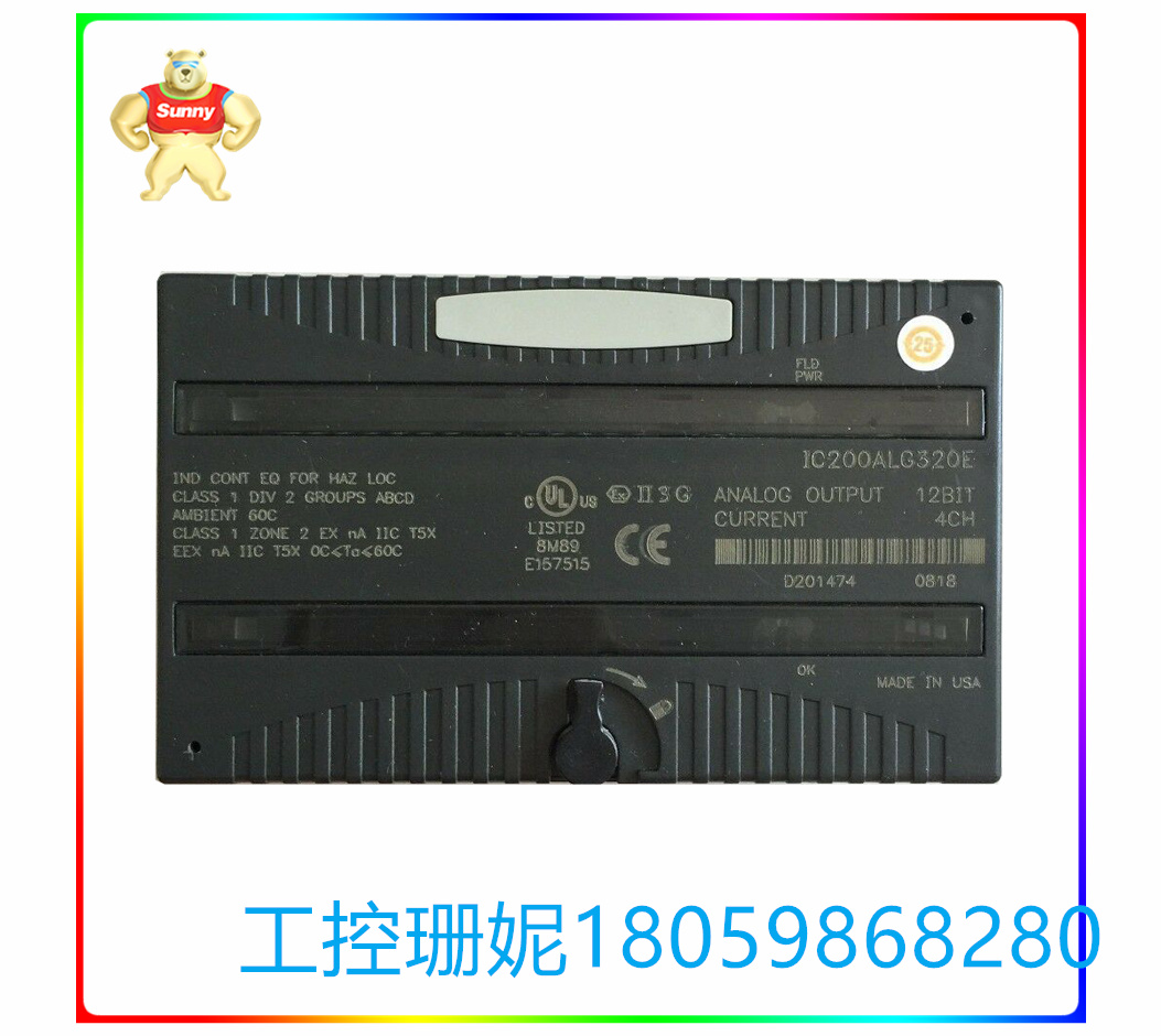 IC200ALG320E
