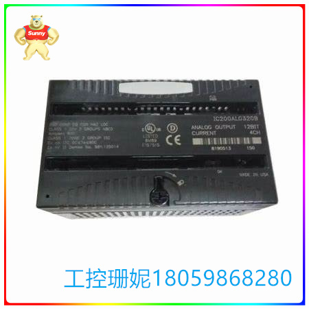 IC200ALG262J
